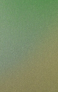 10-03 Tropical Forest