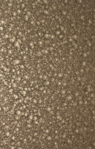 (11-06) Hammered brown