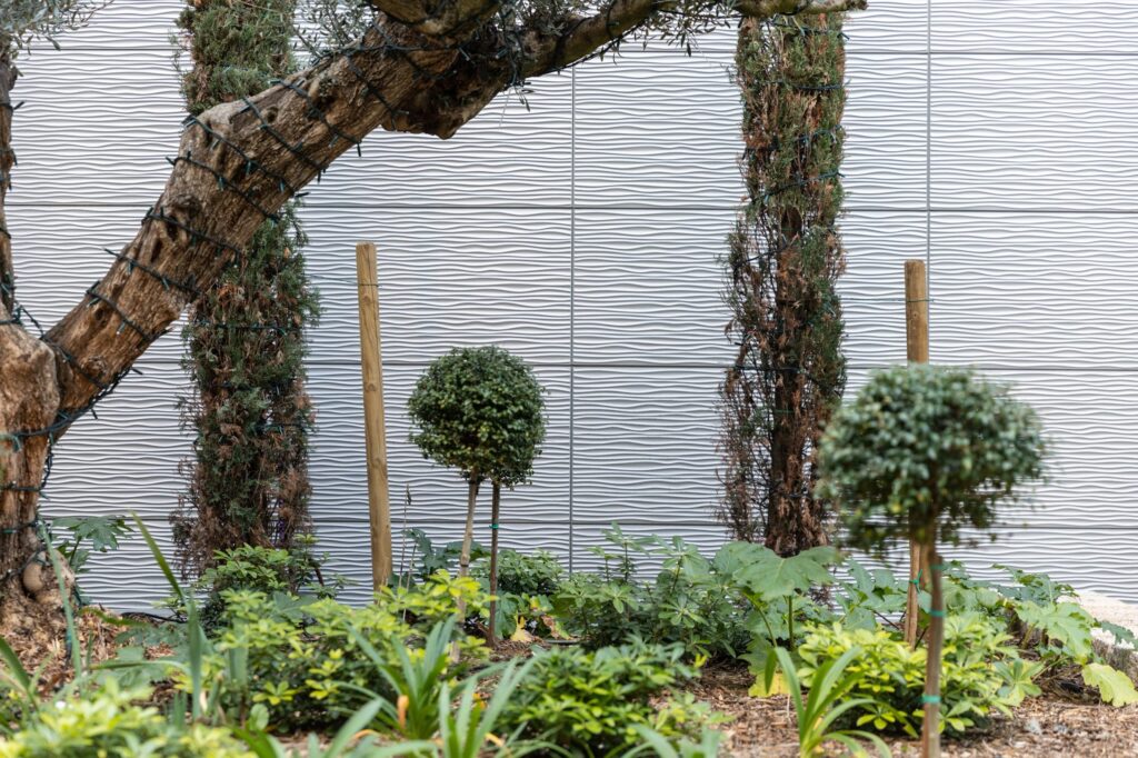 20 Ajaccio Corse Centre commercial Leclerc AQU DUN com06 scaled 1