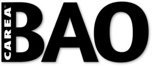 BAO : Bardage Avec Ossature