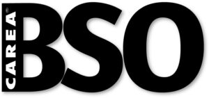 BSO : Bardage Sans Ossature