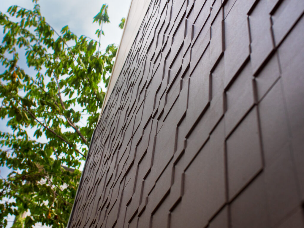 CAREA CALMETTE WEB 06 1