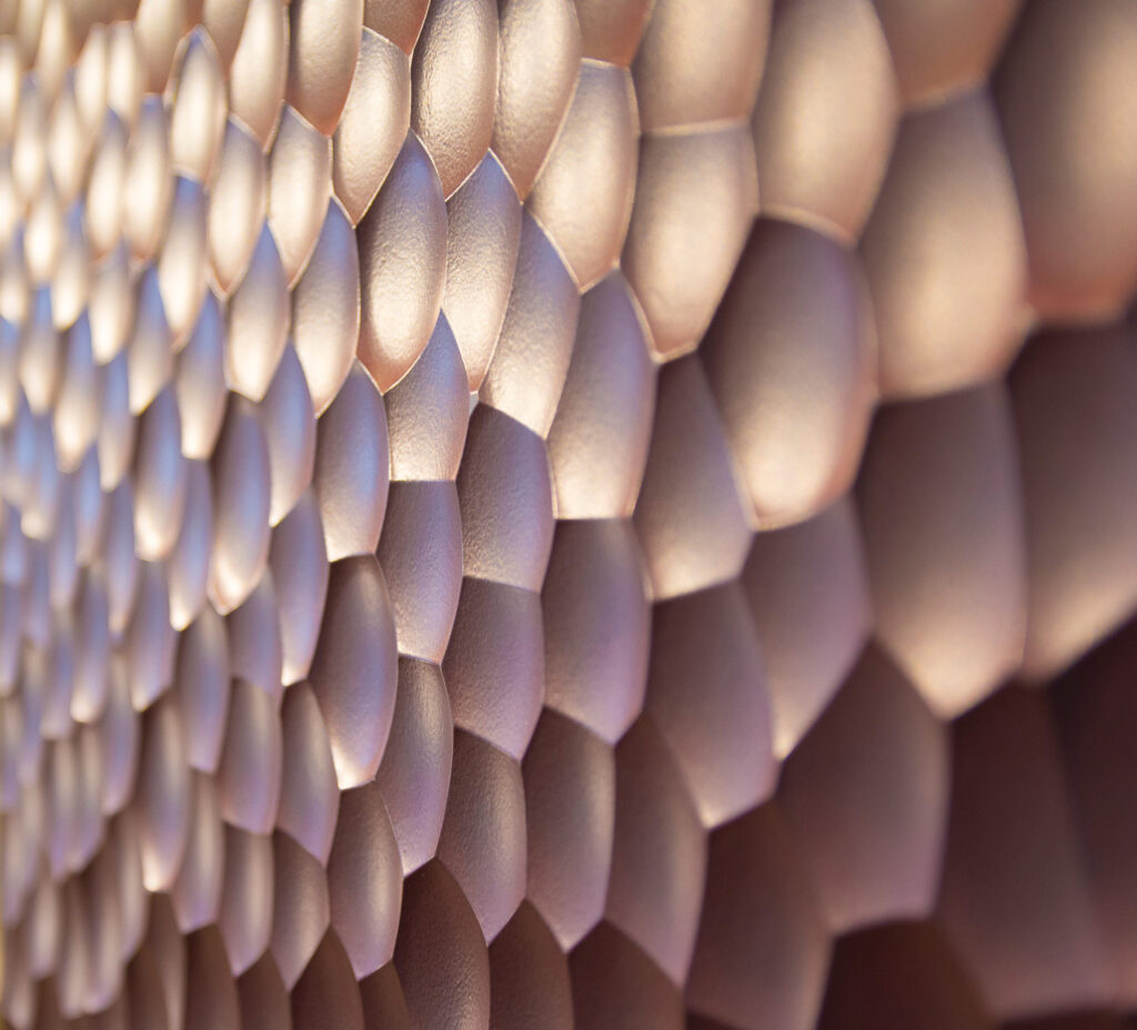 Moon blueberry 03 couleur indisponible Copie