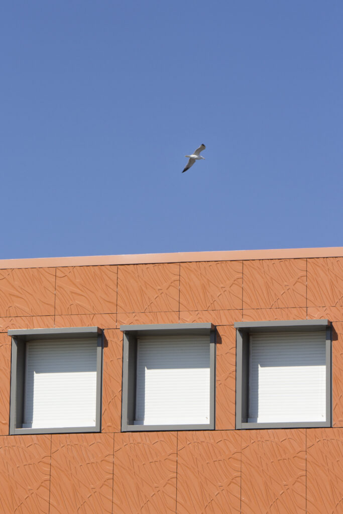 NON RES COLL MISTRAL PORT DE BOUC ACANTHA VEGETAL24 scaled