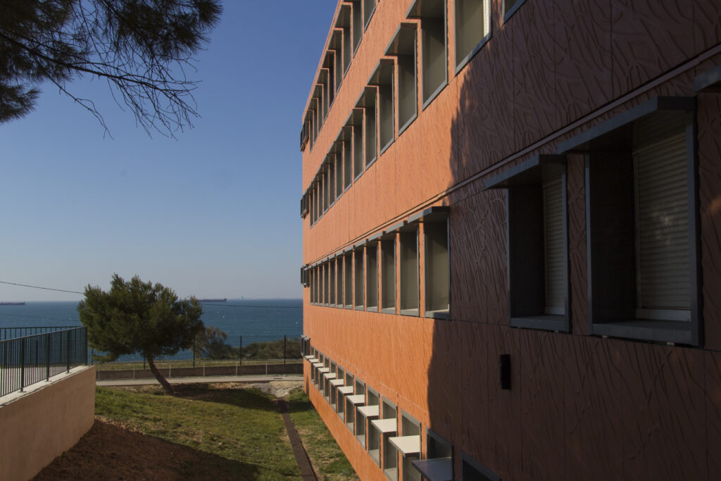 NON RES COLL MISTRAL PORT DE BOUC ACANTHA VEGETAL4 scaled