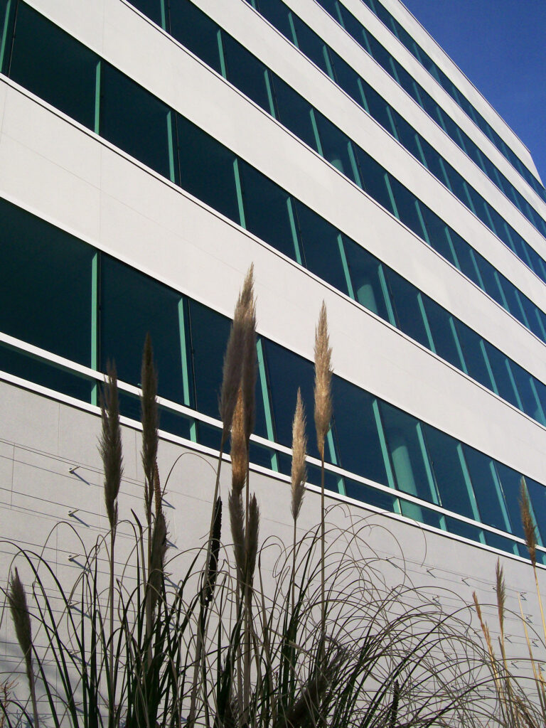 NON RES ILOT DE LA RAPE ORLEANS 75ACANTHA LM ARDAL ARMADA LISSE scaled