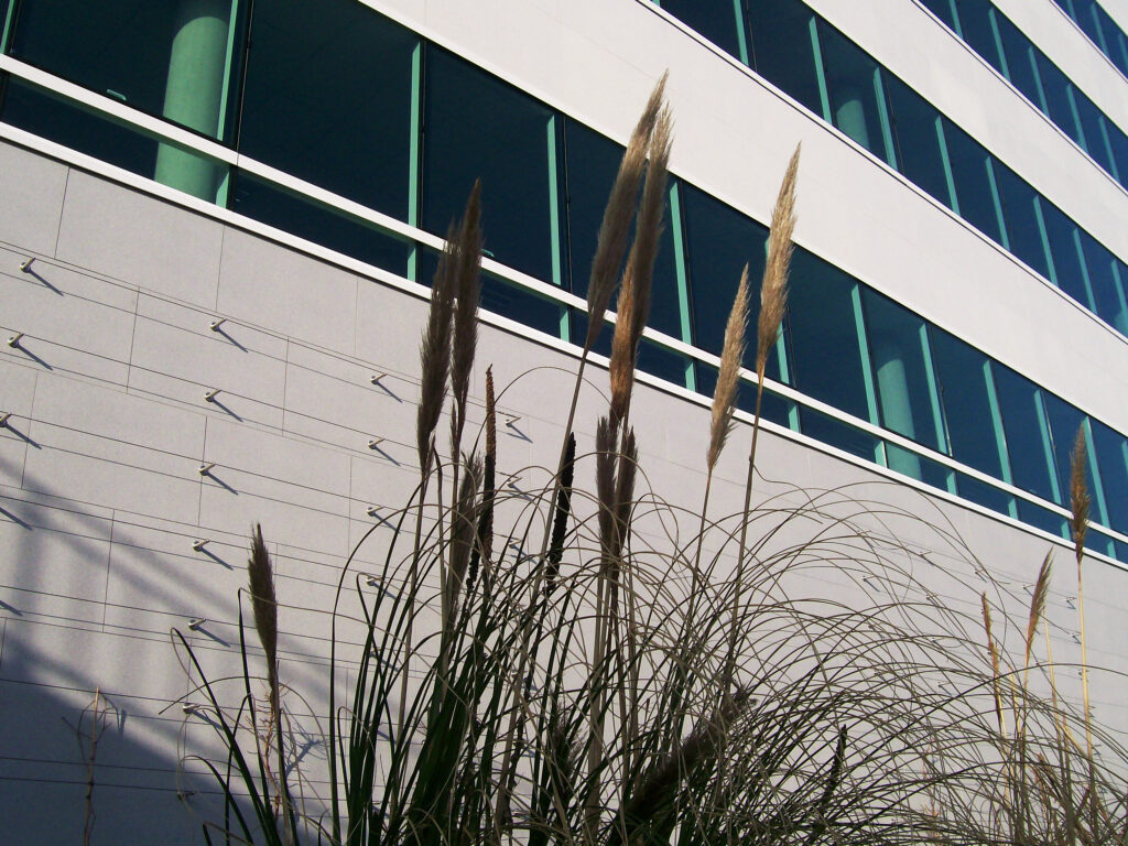 NON RES ILOT DE LA RAPE ORLEANS 76ACANTHA LM ARDAL ARMADA LISSE scaled