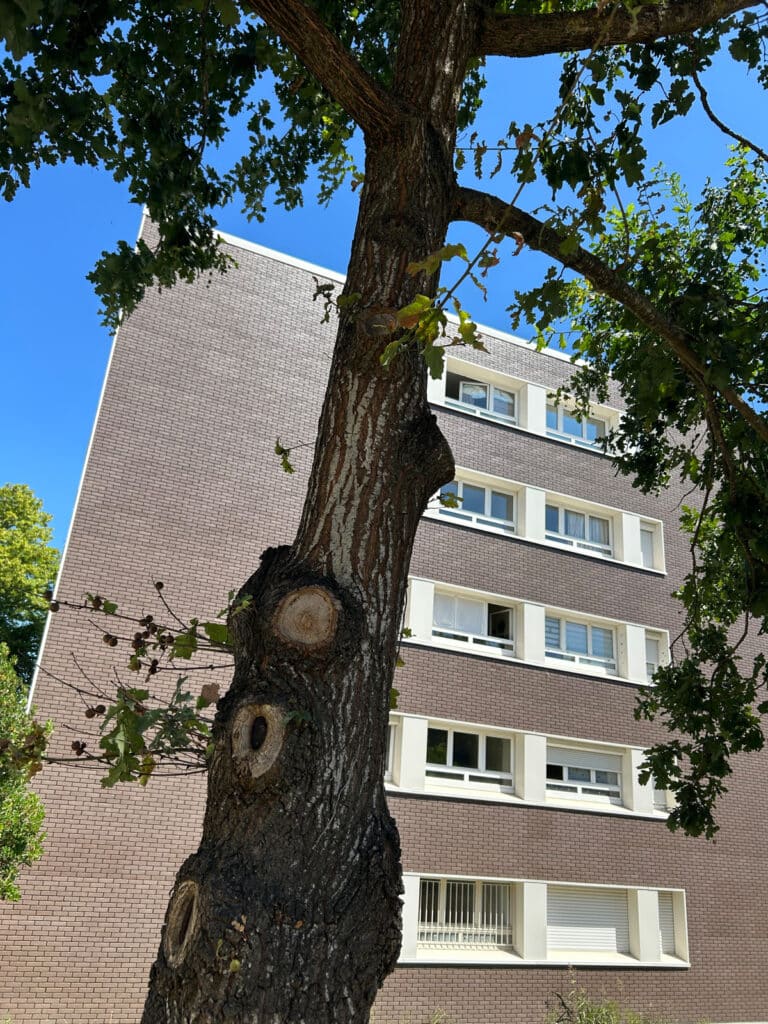 35 Rennes Logements Le Blosne Alp GRAF 900 resi reha 13